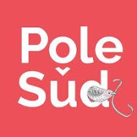 Pôle Sud