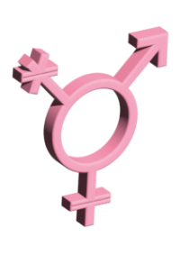 Asso Verein trans&non-binär